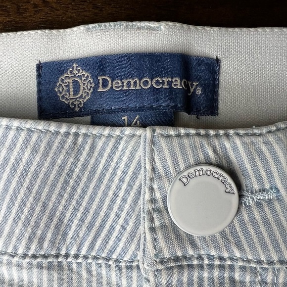 Democracy Pin striped Itty Bitty Boot Distressed Pant - Picture 3 of 13